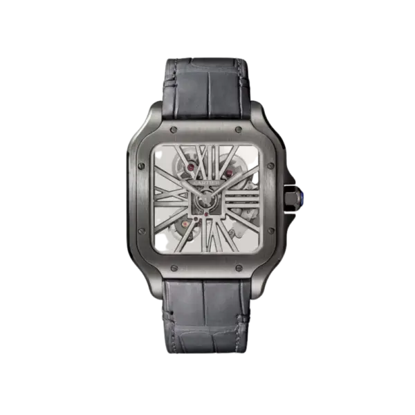 Santos de Cartier Large Skeleton Black ADLC